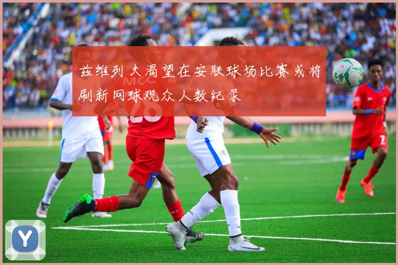 兹维列夫渴望在安联球场比赛或将刷新网球观众人数纪录